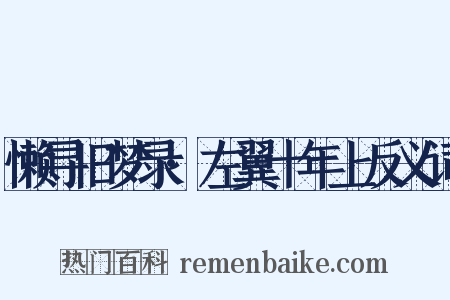 懒寻旧梦录·左翼十年上反义词是什么意思的图片